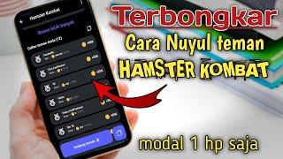 Cara Nuyul Hamster Kombat Modal 1 Hp Bisa Dapat Banyak Referal koin Hamster  Airdrob