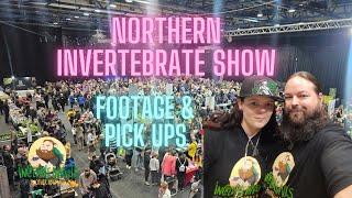 Northern Invert Show 2024  Footage and Pick Ups #invertshow #expo #tarantula