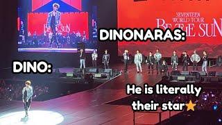 Seventeen loving Dino Part 42748 idk anymore Happy NOT Dino Day