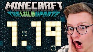 ALLES was du über die 1.19 wissen musst Minecraft Wild Update Zusammenfassung