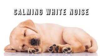 FIREWORK NOISEBLOCKER FOR DOGS  Calming White Noise  10 Hours