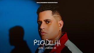 Gaab MC Leozinho ZS - Picadilha Visualizer