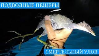 Подводные ПЕЩЕРЫ Крыма Смертельный УЛОВ Морская высокая кухня на каяке