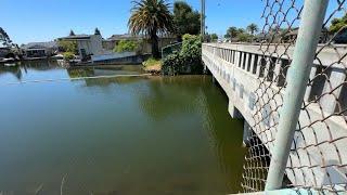 You can own prime property in this Bay Area city for $400000 but theres a catch...