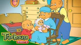 Berenstain Bears  A Special Thanksgiving Episode