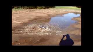 Traxxas stampede mud and water bash.