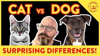 The Surprising Differences Between Cats and Dogs