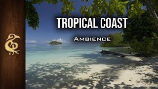 Tropical Coast  Birds Cicadas Waves Calming ASMR Ambience  3 Hours