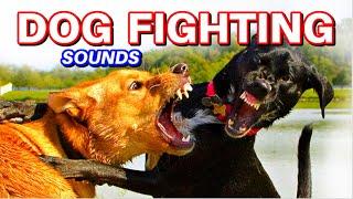 Dogs fighting sounds