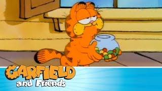 Cactus Makes Perfect - Garfield & Friends 