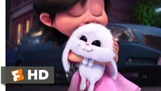 The Secret Life of Pets - Puppy And Bunny Love  Fandango Family