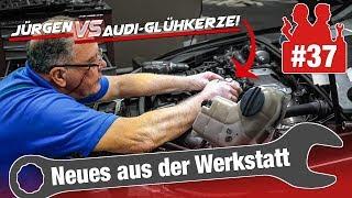 Jürgen am Limit - allein gegen die Audi-Glühkerze 45 Jahre Erfahrung vs. drohende Kostenexplosion