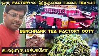 Tea & Chocolate Factory Tour  Manufacturer- BENCHMARK  ஊட்டி OOTY