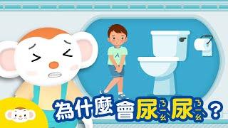 【身體小知識】為什麼會尿尿?｜小行星樂樂TV