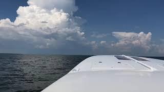 36 Pantera  High Performance Sport Boat Running the Chesapeake Bay