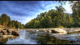 Soothing Nature SoundsSleep - Natural Calm Forest Water for massage spa accompanied by piano music