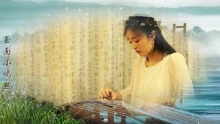 林海 - 琵琶语  古筝 Guzheng Cover  玉面小嫣然