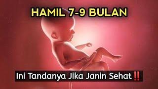 Tanda Janin Sehat di Trimester Ketiga  Usia 7-9 Bulan