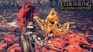 The Best Voice Acting in Elden Ring Shadow of the Erdtree