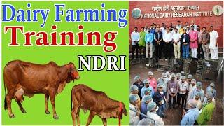 डेरी फार्मिंग ट्रेनिंग 15-21 Feb. 2024  Dairy Farm Training NDRI  गौपालन प्रशिक्षण #cow #training