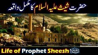 Hazrat Sheesh As ka Waqia  Life of Prophet Sheesh  Sheesh Story Urdu  Qasas ul Anbiya  Episode 2