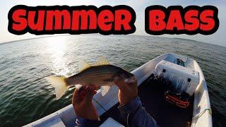 Summer Bass Fishing Deep on the Lake