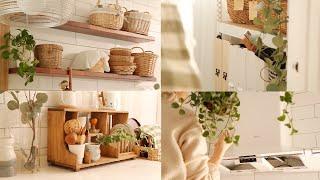 A house tour to clean and organize Create a shiny kitchen with eco-friendly cleaning materials