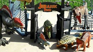 Jurassic World Dinosaur Toys - Fun Dino Toys