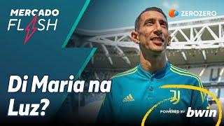 MERCADO FLASH  Di Maria na Luz?