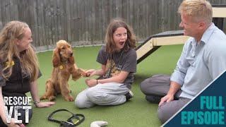 Surprising my daughter by adopting a rescue dog  Rescue Vet with Dr Scott Miller