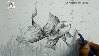 How to draw pencil sketch and shading a fish for beginners  Pencil art tutorial