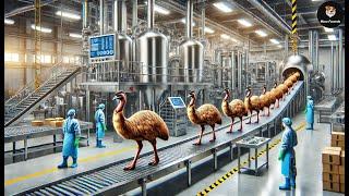 Emu Bird - Agricultores Australianos Ganham Milhões De Dólares Criando Esta Ave  Agricultura