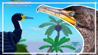 Cormorant realism  Feather Family Roblox 4K