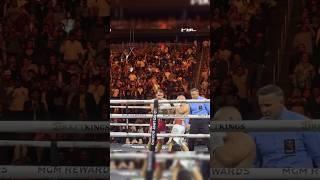 ISAAC PITBULL CRUZ DESTROYS ROLLY ROMERO #pitbullcruz #shorts #boxing