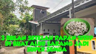 MANFAAT MEMBUAT ALUR PADA PAPAN SIRIP