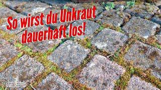 8 Tipps gegen Unkraut in Fugen so wirst du Unkraut dauerhaft los