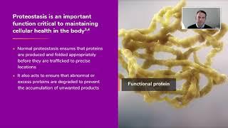 Proteostasis Heat Shock Proteins and Their Therapeutic Potential