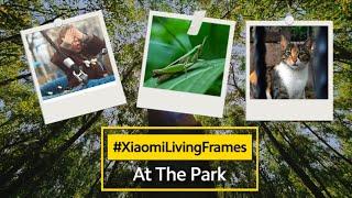 #XiaomiLivingFrames  Photography At The Park