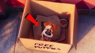 The Secret Life of Pets 2016 - Where does Max come from???