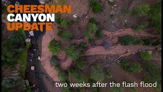 CHEESMAN CANYON UPDATE  2 Weeks After the Flash Flood