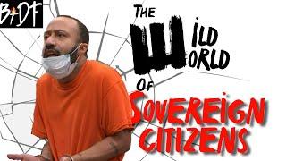 The Wild World of Sovereign Citizens