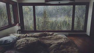 To be able to sleep in this one room when it rains in the middle of the misty forest it is wonderful