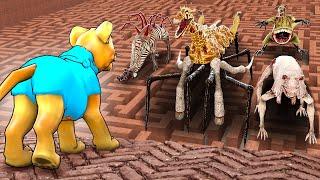 Can ZOOCHOSIS MONSTERS find me in a MAZE? Garrys Mod Sandbox