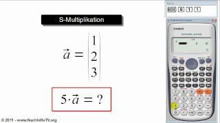 Multiplikation eines Vektors mit einem Skalar mit Taschenrechner