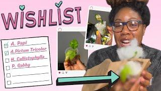 I Spent $110 On A RARE Mystery Plant Box  & I Cant Believe What I Got  { Part II }