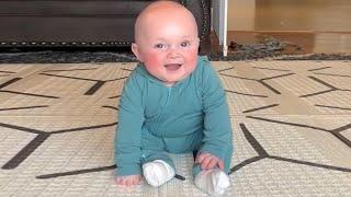 Try Not To Laugh With The Ultimate Funny Baby Videos Compilation