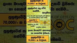 BOC Trainee Jobs  Shan Creation  Bank Jobs  Bank of Ceylon  Government Bank Jobs