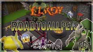 Elkoy  Road to All Pets  INSANE LUCK WITH DROPS Part 1  RSPS