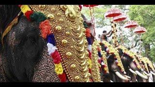 തൃശൂര്‍ പൂരം ഉപചാരം ചൊല്ലല്‍  2024     Thrissur Pooram  2024  live