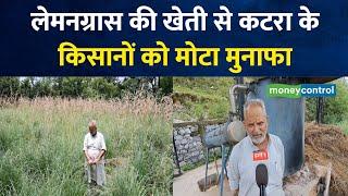 Lemongrass Farming  लेमनग्रास की खेती से कटरा के  किसानों को मोटा मुनाफा